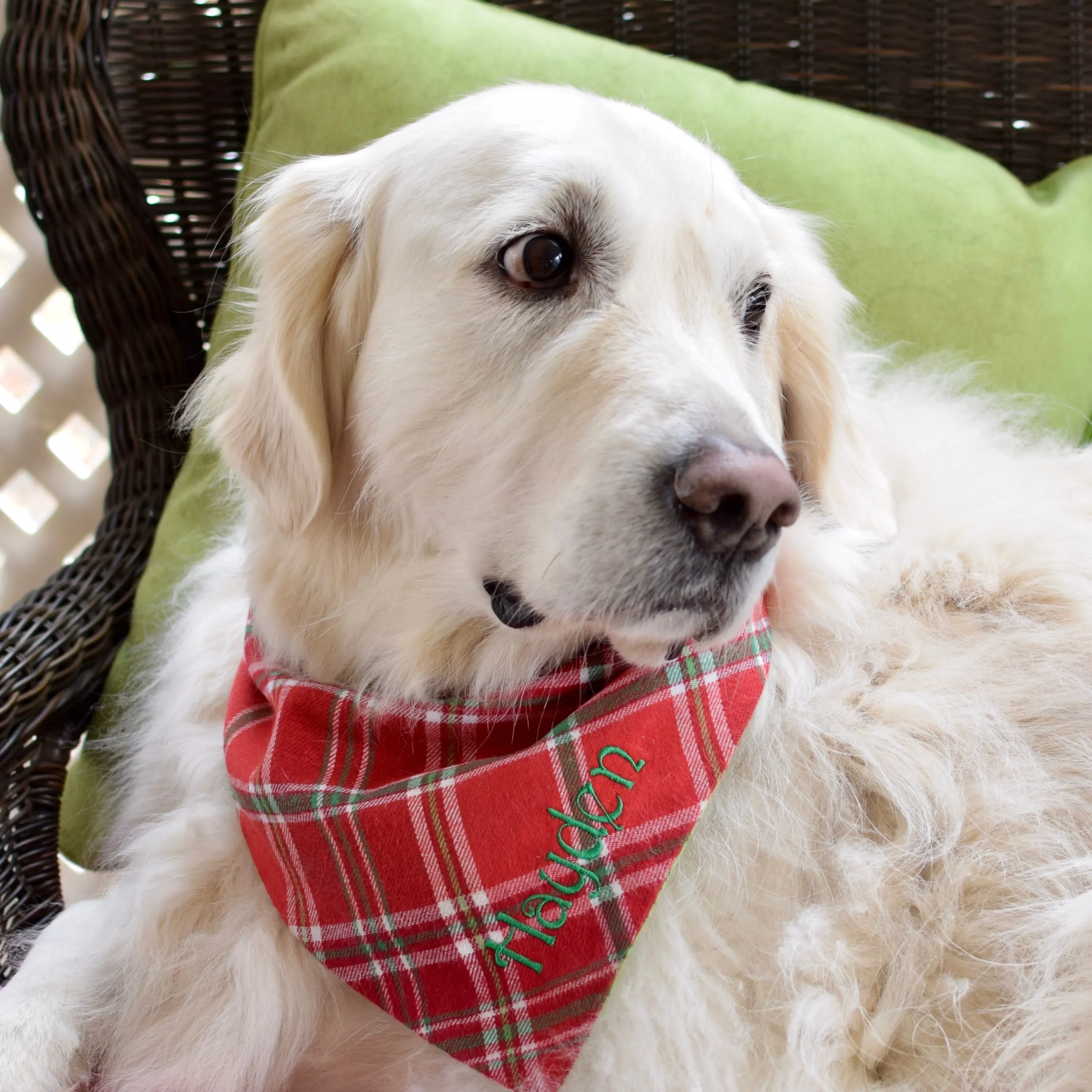 Christmas Plaid Flannel Holiday Dog Bandanas