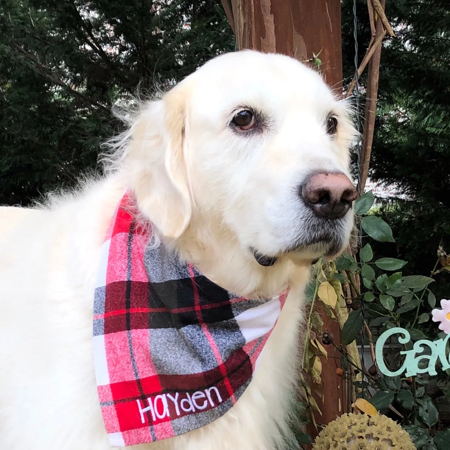 Christmas Plaid Flannel Holiday Dog Bandanas