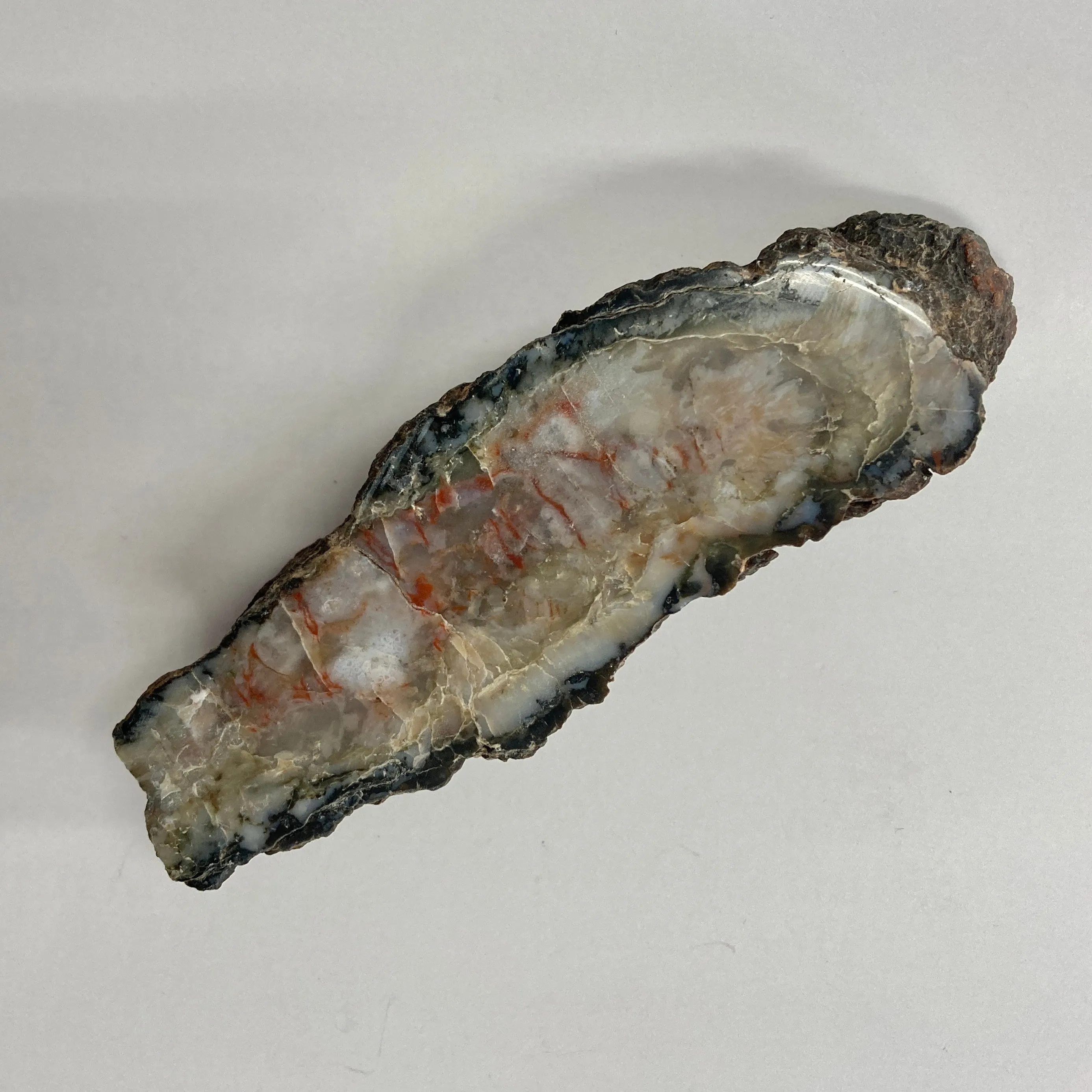 Dinosaur Coprolite