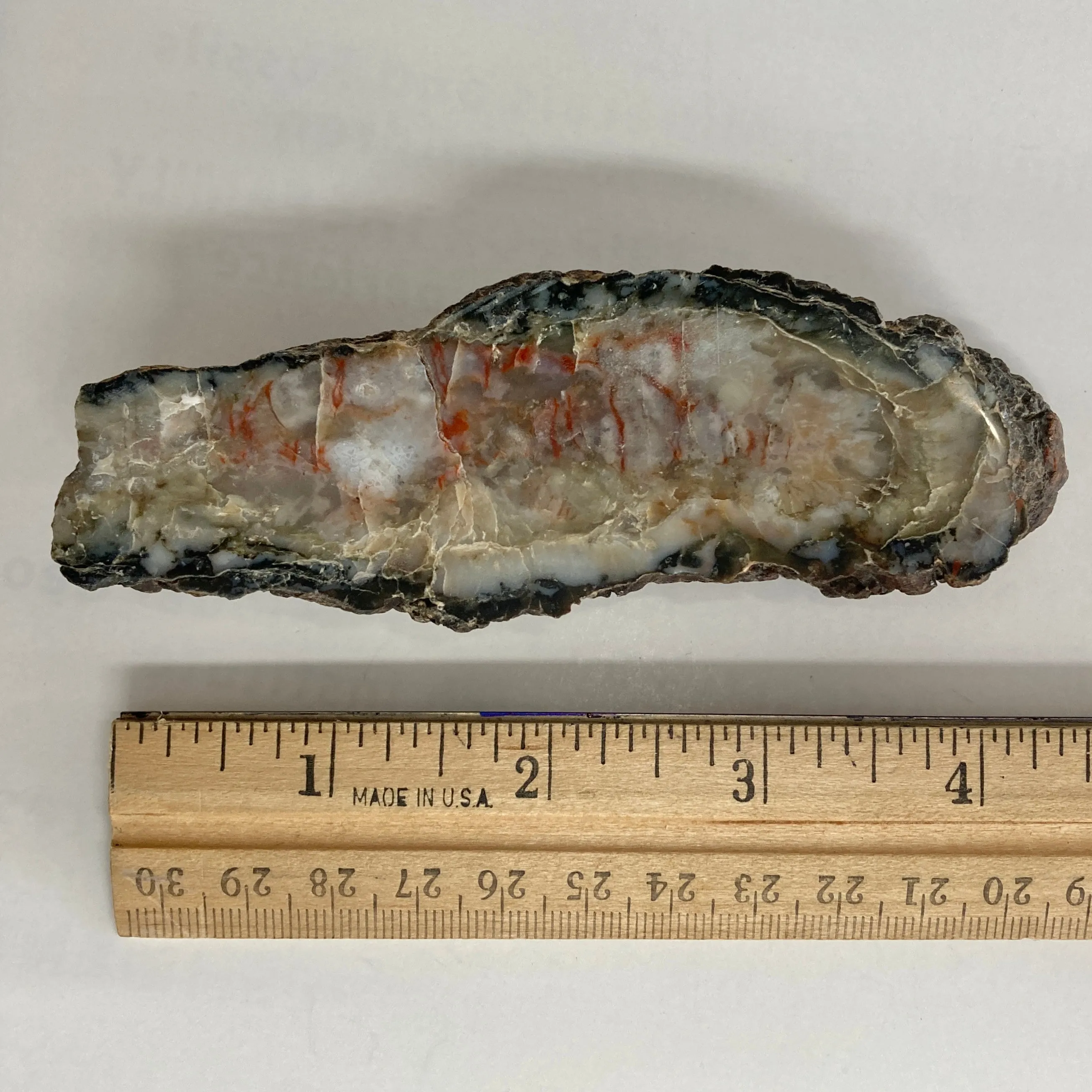 Dinosaur Coprolite