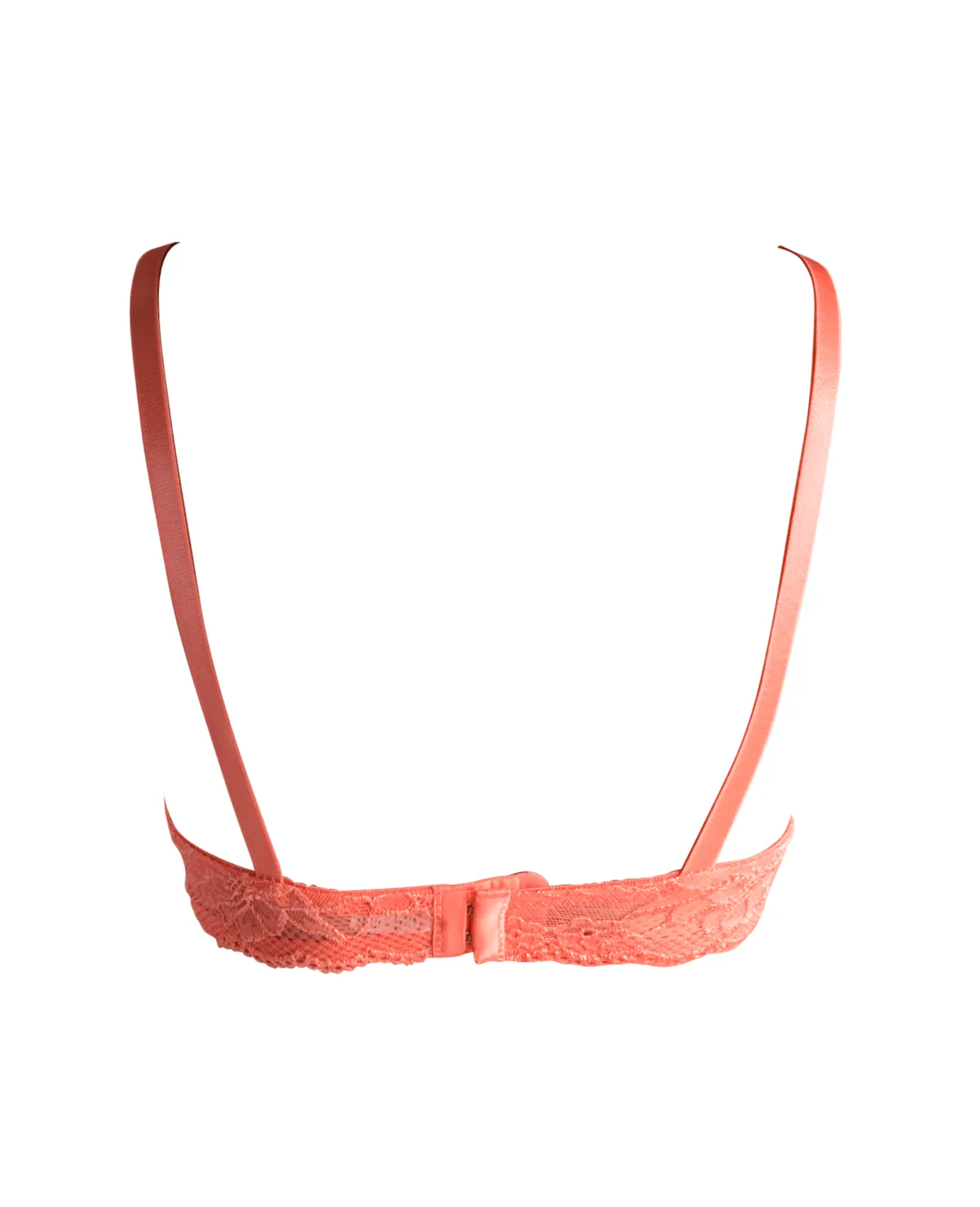 Mamia Lace Trim Push Up Bra