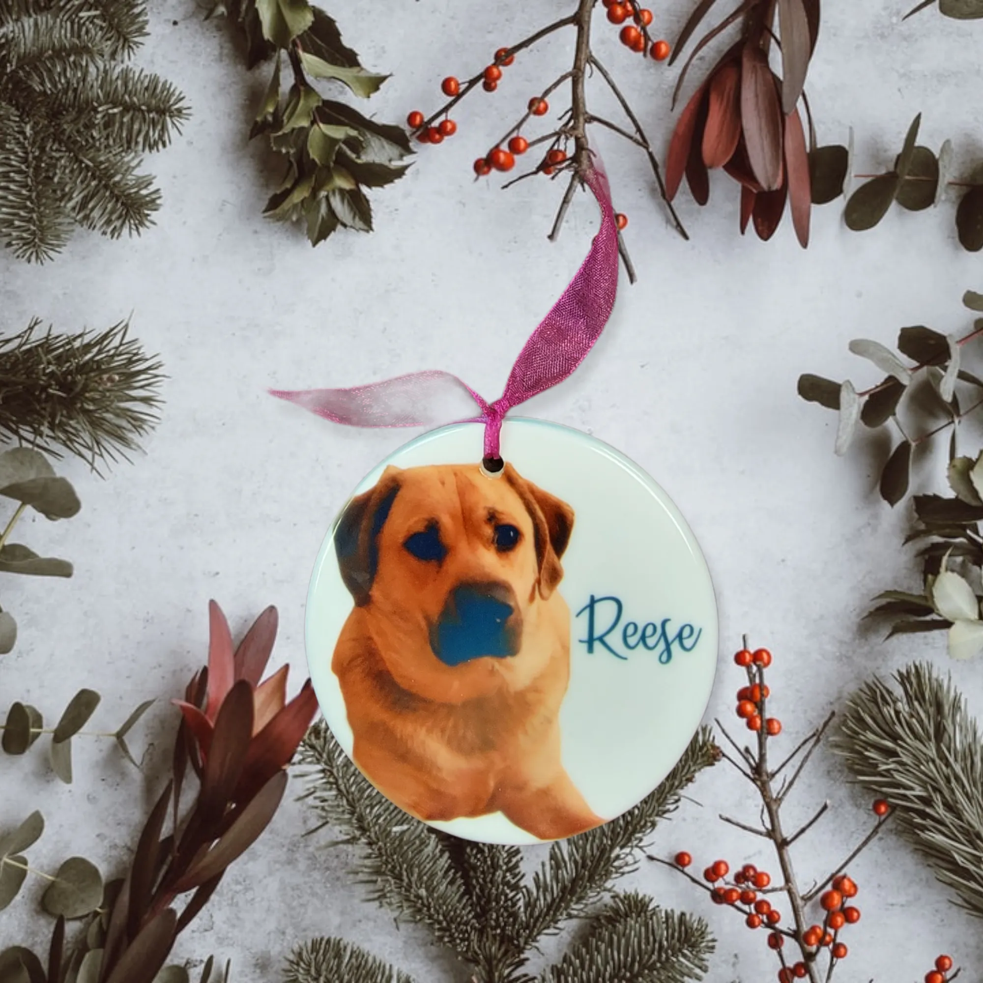 Personalized Pet Lovers Christmas Ornament