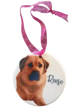 Personalized Pet Lovers Christmas Ornament