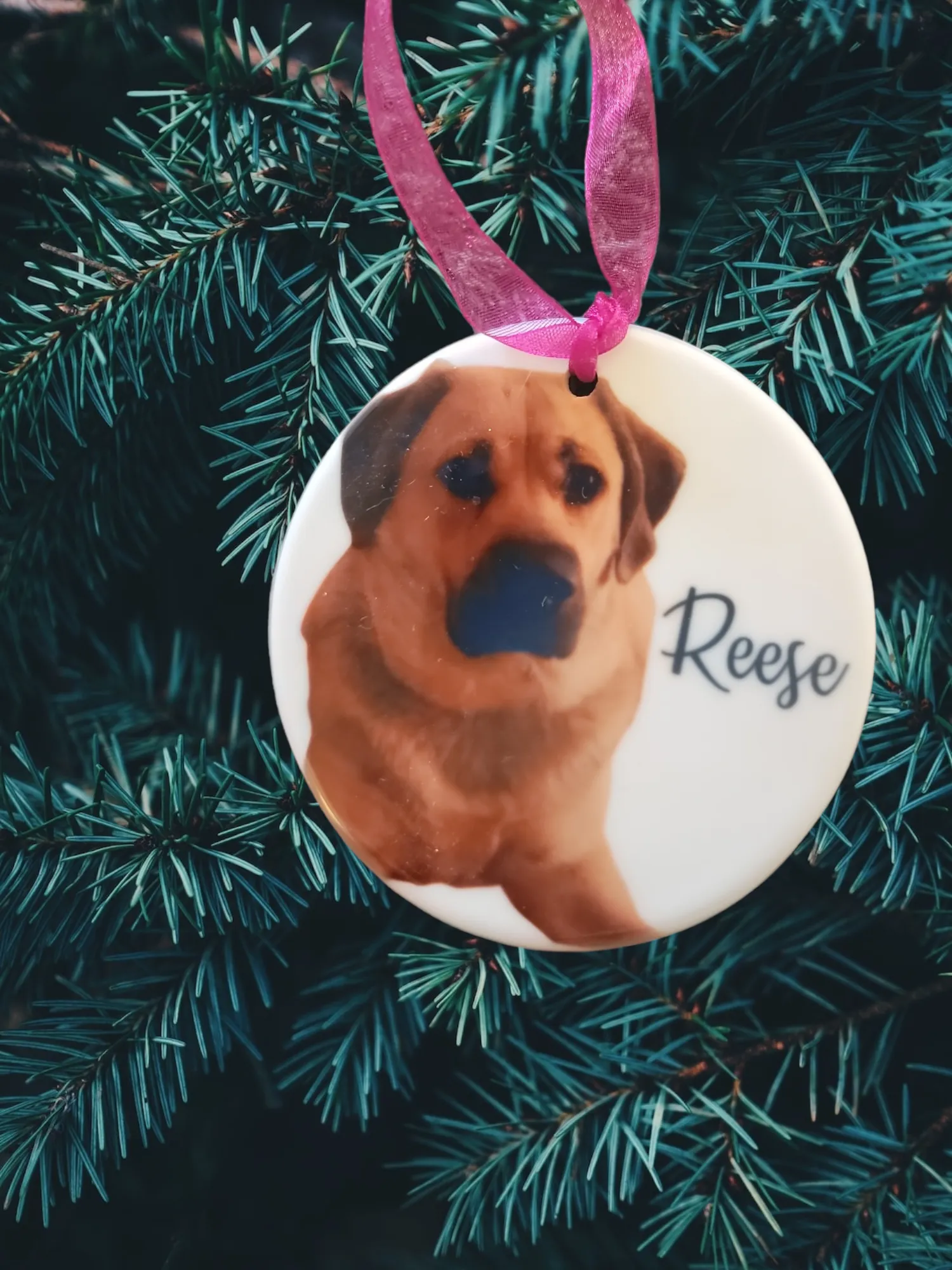 Personalized Pet Lovers Christmas Ornament