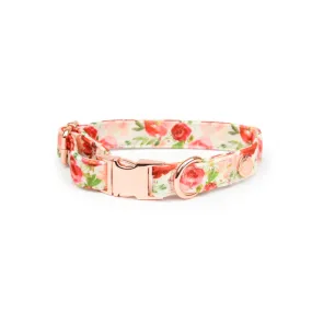 Velvet Collar // Holly Floral